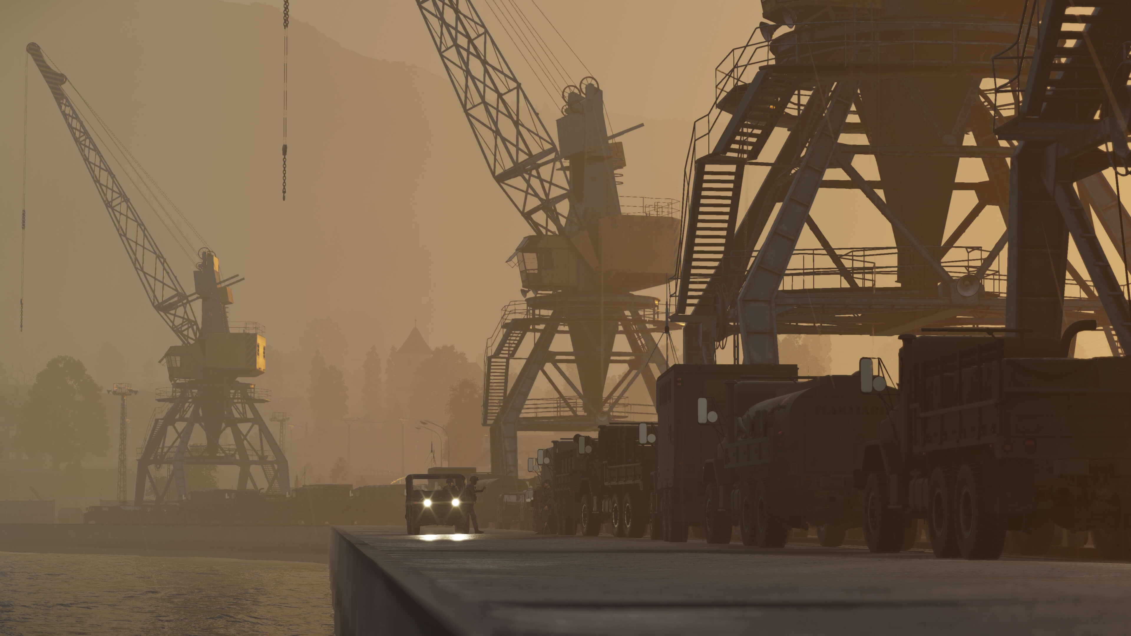 Cranes Photo